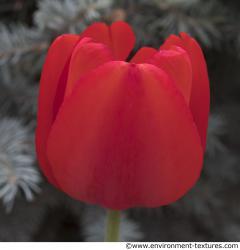 Photo of Mixed Textures